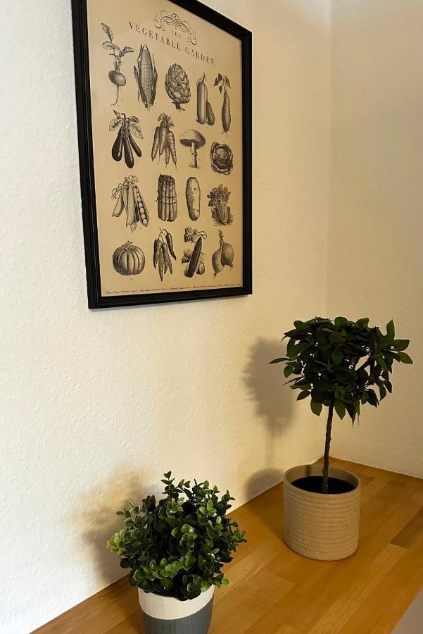 City-Apartment In Krefeld - Beuys Apartments - Κρέφελντ Εξωτερικό φωτογραφία